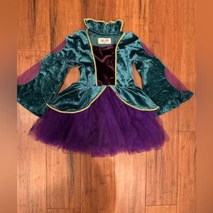 Taylor Joelle Sanderson Sisters Dress Size 3